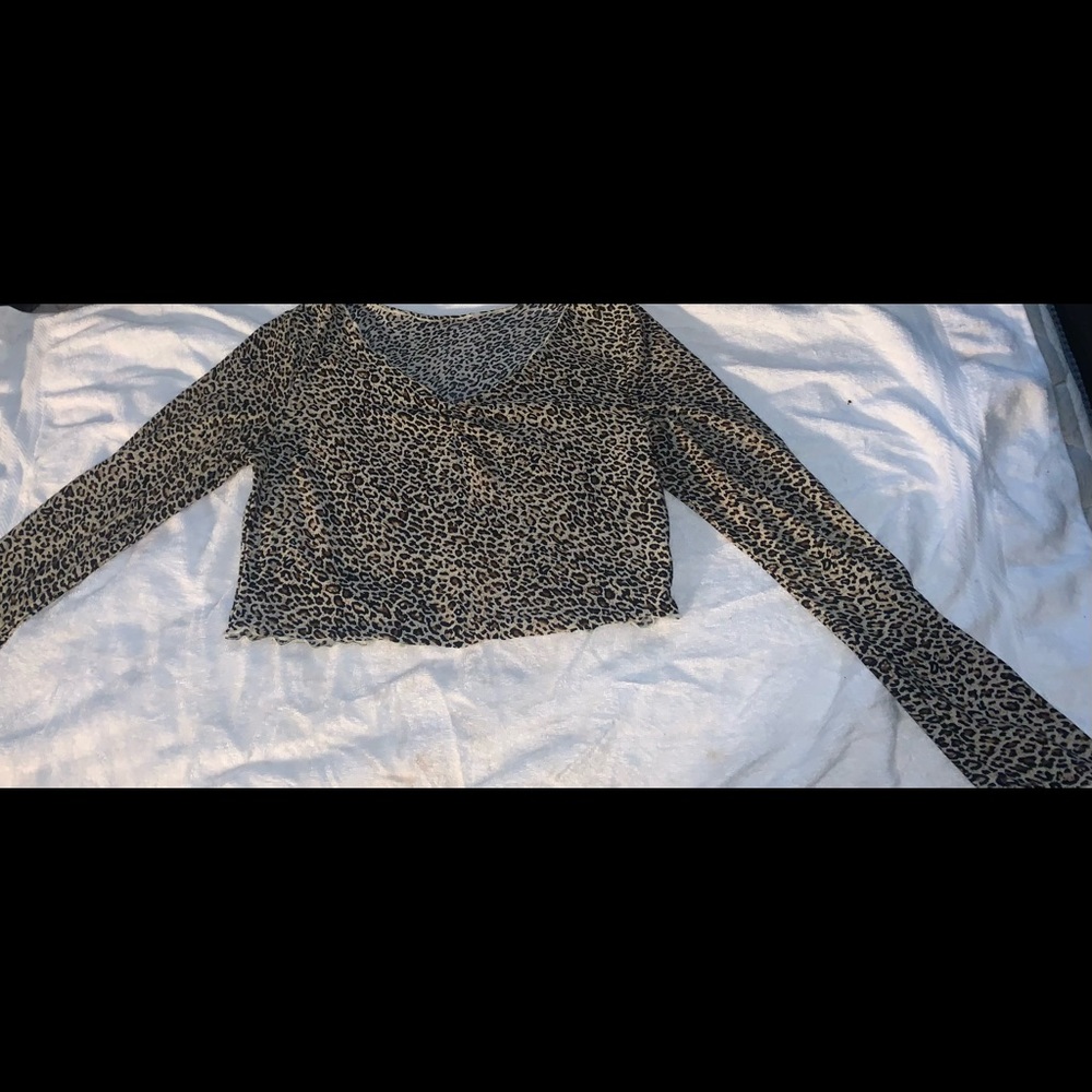 XL cheetah print v neck cropped top